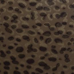 Cover leopard